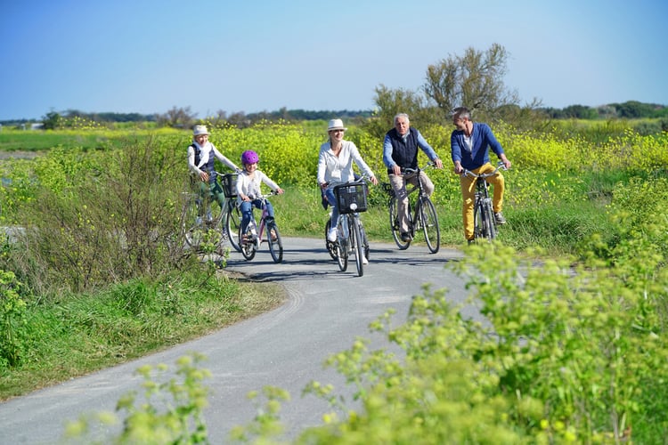 family riding bikes