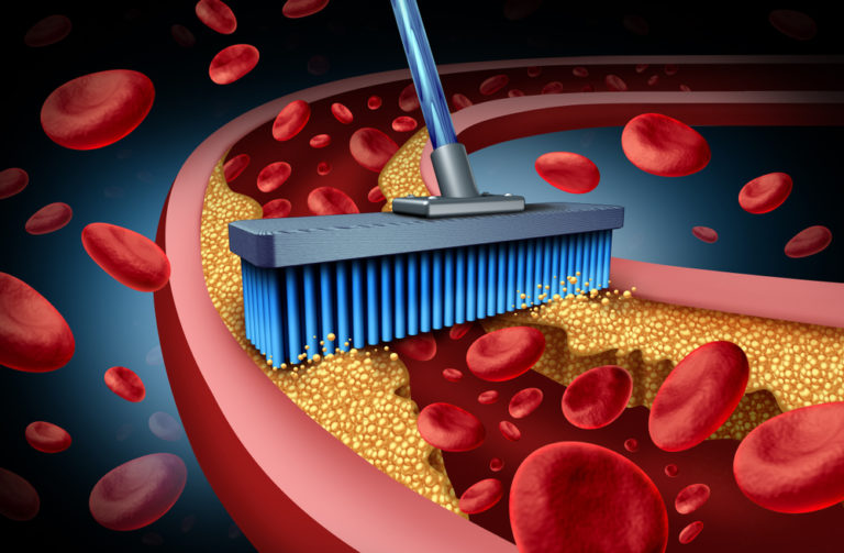 Broom illustration blood vessel